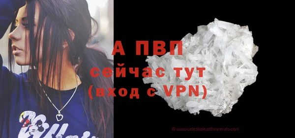 гашик Нягань