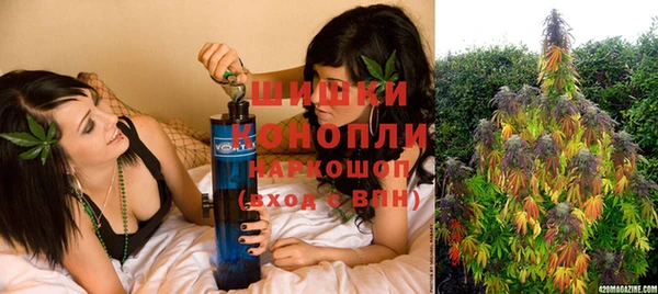 ГАЛЛЮЦИНОГЕННЫЕ ГРИБЫ Няндома