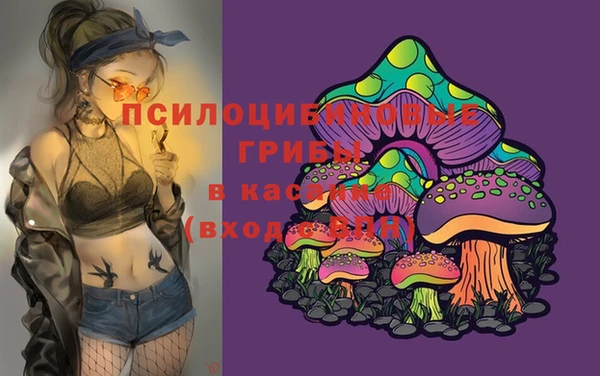 ГАЛЛЮЦИНОГЕННЫЕ ГРИБЫ Няндома