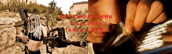 ГАЛЛЮЦИНОГЕННЫЕ ГРИБЫ Няндома