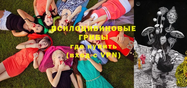 ГАЛЛЮЦИНОГЕННЫЕ ГРИБЫ Няндома