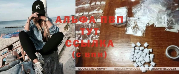 гашик Нягань