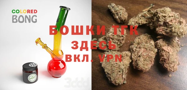 гашик Нягань