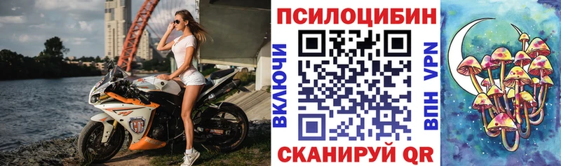 наркошоп  Подпорожье  Галлюциногенные грибы Psilocybine cubensis 